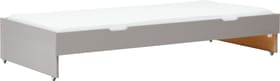 Flexa CLASSIC Lit extractible CLASSIC Lit extractible Flexa 404996000000 Dimensions L: 90.0 cm x P: 190.0 cm x H: 34.0 cm Couleur Gris Photo no. 1
