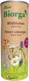 Biorga Blumenrasen, 0,2 Kg Blumensamen Hauert 658247200000 Bild Nr. 1