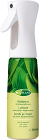Mioplant Blattglanz für Zimmerpflanzen, 300 ml Blattpflege Blattglanz für Zimmerpflanzen, 300 ml Blattpflege Mioplant 658408600000 Bild Nr. 1