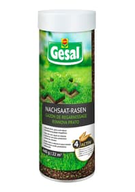 Nachsaat-Rasen, 440 g Rasensamen Compo Gesal 659294200000 Bild Nr. 1