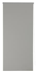 POLAR Tenda a rullo POLAR Tenda a rullo 430746114280 Colore Grigio Dimensioni L: 143.0 cm x A: 185.0 cm N. figura 1