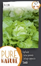 Do it + Garden Salade pommée 'Estelle' 0.25g Semences de legumes Salade pommée 'Estelle' 0.25g Semences de legumes Do it + Garden 287110700000 Photo no. 1