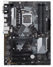 Asus PRIME B360-PLUS Mainboard PRIME B360-PLUS Mainboard Asus 785300143537 Bild Nr. 1