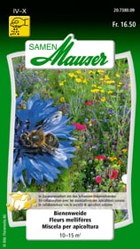 Samen Mauser Bienenweide Blumensamen Bienenweide Blumensamen Samen Mauser 650118404000 Inhalt 30 g (ca. 18-24 m² ) Bild Nr. 1
