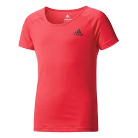 Prime Tee