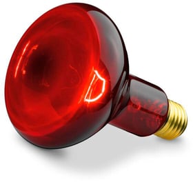 Beurer IL 11 Lampada a infrarossi IL 11 Lampada a infrarossi Beurer 785300158511 N. figura 1