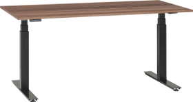 PROFI Bureau PROFI Bureau 401851400000 Dimensions L: 200.0 cm x P: 80.0 cm x H: 67.0 cm Couleur Noyer Photo no. 1