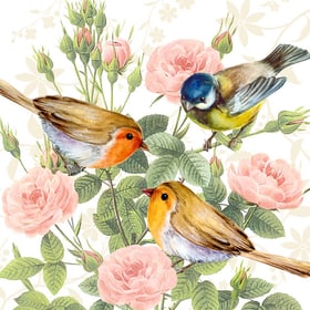 Atelier Serviettes, 20 pcs. 33x33 cm, Trio de Oiseau