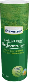 Eric Schweizer Quick - Turf Royal Nachsaatrasen, 0,2 kg Rasensamen Quick - Turf Royal Nachsaatrasen, 0,2 kg Rasensamen Eric Schweizer 659204700000 Bild Nr. 1