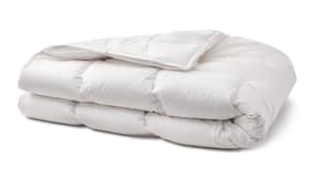 SANADAUN 4-saisons Hochwertiges 4-Saison Duvet mit 90% Gänsedaunen und Milbenschutz SANADAUN 4-saisons Hochwertiges 4-Saison Duvet mit 90% Gänsedaunen und Milbenschutz 451705415510 Farbe Weiss Grösse B: 200.0 cm x T: 210.0 cm Bild Nr. 1