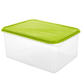 RONDO Boîte pour réfrigérateur 8 l, plastique (PP) sans BPA, transparent/vert Boîte pour réfrigérateur Rotho 674358900000 Photo no. 1