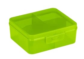 Q-Line Divider Box 4 compartiments Boîtes d'assortiment Q-Line Divider Box 4 compartiments Boîtes d'assortiment 603761800000 Taille L: 146.0 mm x L: 130.0 mm x H: 53.0 mm Couleur Verte traslucido Photo no. 1