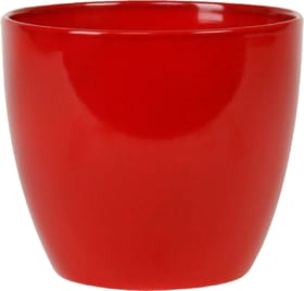 Scheurich Céramique Pot Pot Céramique Pot Pot Scheurich 657555400000 Couleur Rouge Taille ø: 25.0 cm x H: 22.0 cm Photo no. 1