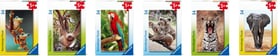Ravensburger Minipuzzle exotische Tiere 54 T. Puzzle Minipuzzle exotische Tiere 54 T. Puzzle Ravensburger 748675800000 Bild Nr. 1