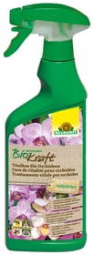 Remède vital BioKraft pour les orchidées, 500 ml Renforcement des plantes Neudorff 658242900000 Photo no. 1
