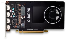 Dell NVIDIA Quadro P2200 5GB Grafikkarte NVIDIA Quadro P2200 5GB Grafikkarte Dell 785300155390 Bild Nr. 1