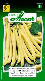 Haricot nain Slenderwax Semences de legumes Samen Mauser 650109307000 Contenu 80 g (env. 8 m²) Photo no. 1