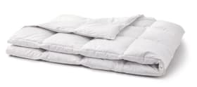 OPTIMADAUN medium warm Piumino per tutto l'anno con il 60% di piumette OPTIMADAUN medium warm Piumino per tutto l'anno con il 60% di piumette 451745112510 Colore Bianco Dimensioni L: 200.0 cm x P: 210.0 cm N. figura 1