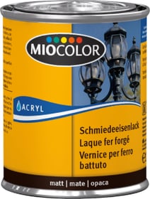 Schmiedeeisenlack