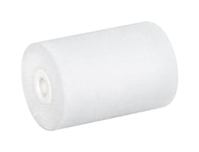Color Expert 2 Walzen Schaum 5cm Walze 2 Walzen Schaum 5cm Walze Color Expert 661922200000 Bild Nr. 1