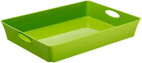 LIVING Box/grande vassoio di stoccaggio, Plastica (PP) senza BPA, verde, C4/DIN A4 Cestina Rotho 604048600000 N. figura 1