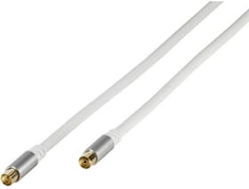 Vivanco Premium TV/Radio Antennenkabel 110dB 5m Antennenkabel Premium TV/Radio Antennenkabel 110dB 5m Antennenkabel Vivanco 770822400000 Bild Nr. 1