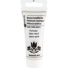321color Bauernmalfarbe perlmuttweiss 50ml 321color Bauernmalfarbe perlmuttweiss 50ml 666793300000 Bild Nr. 1