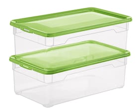 Rotho Clear Lady Shoe 5 l mit Deckel, 2er-Set Aufbewahrungsbox Clear Lady Shoe 5 l mit Deckel, 2er-Set Aufbewahrungsbox Rotho 603716700000 Bild Nr. 1