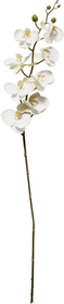 ORCHIDEA Pianta artificiale ORCHIDEA Pianta artificiale 440739100000 N. figura 1