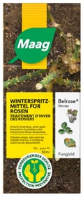 Belrose Winter, 50 ml