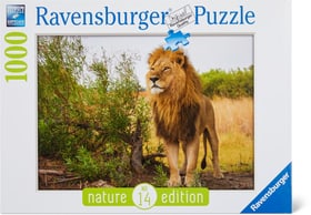 Ravensburger RVB 1000 Re dei leoni Puzzle RVB 1000 Re dei leoni Puzzle Ravensburger 748979500000 N. figura 1