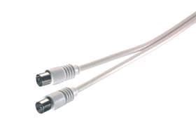 PS L 715 Cavo antenne