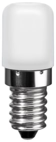 Max Hauri LED 1,8 W Kühlschranklampe LED 1,8 W Kühlschranklampe Max Hauri 612537400000 Bild Nr. 1