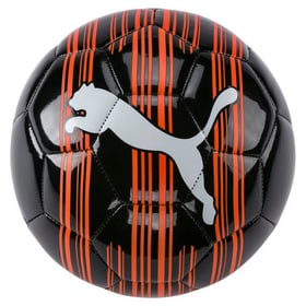 Big Cat Fussball