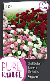 Do it + Garden Pâquerette 'Pomponette Mix 0.1g Semences de fleurs Pâquerette 'Pomponette Mix 0.1g Semences de fleurs Do it + Garden 287305000000 Photo no. 1