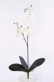 Orchidee Kunstblume Orchidee Kunstblume 657353000000 Bild Nr. 1