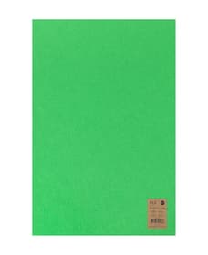 Textilfilz, grasgrün, 30x45cmx3mm 666915000000 Bild Nr. 1