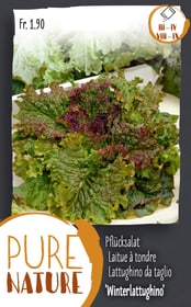 Do it + Garden Pflücksalat 'Winterlattughino' 5g Gemüsesamen Pflücksalat 'Winterlattughino' 5g Gemüsesamen Do it + Garden 287109500000 Bild Nr. 1