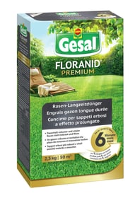 Compo Gesal FLORANID Premium Engrais gazon longue durée, 2,5 kg Engrais pour gazon FLORANID Premium Engrais gazon longue durée, 2,5 kg Engrais pour gazon Compo Gesal 658235900000 Photo no. 1