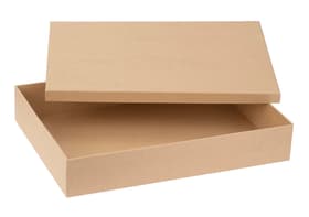 Aufbewahrungsbox Aufbewahrungsbox Aufbewahrungsbox Aufbewahrungsbox 668378100000 Bild Nr. 1