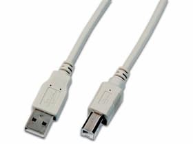 USB 2.0-Kabel USB A - USB B 1.5 m USB Kabel Wirewin 785302403682 Bild Nr. 1