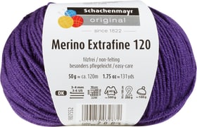 Schachenmayr Laine Merino Extrafine 120 Laine Merino Extrafine 120 Schachenmayr 665510300100 Couleur Violet Photo no. 1