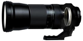 Tamron SP AF 150-600mm Objektiv zu Nikon Tamron SP AF 150-600mm Objektiv zu Nikon 95110025392614 Bild Nr. 1