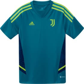 Juventus Turin Condivo 22 Trainingstrikot Fussball Trainingsshirt Adidas 466363715265 Grösse 152 Farbe petrol Bild-Nr. 1