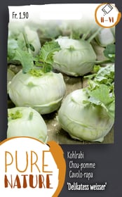 Do it + Garden Chou-pomme 'Délicatesse blanc' 2.5g Semences de legumes Chou-pomme 'Délicatesse blanc' 2.5g Semences de legumes Do it + Garden 287113900000 Photo no. 1