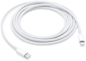 USB-C to Lightning Cable (2 m) Kabel Apple 799103700000 Bild Nr. 1