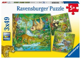 Puzzle 3x49 im Urwald Puzzle Ravensburger 749018500000 Bild Nr. 1