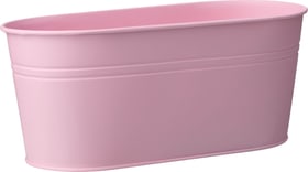 Do it + Garden Zinktopf oval Zinktopf Zinktopf oval Zinktopf Do it + Garden 657059200003 Farbe Rosa Grösse L: 32.0 cm x B: 16.0 cm x H: 13.5 cm Bild Nr. 1