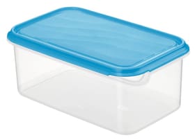 M-Topline COOL Boîte pour réfrigérateur 2.0L COOL Boîte pour réfrigérateur 2.0L M-Topline 702905600040 Couleur Bleu Dimensions L: 16.0 cm x H: 10.0 cm Photo no. 1