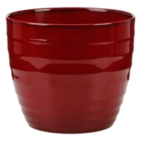 Scheurich Céramique Pot Pot Céramique Pot Pot Scheurich 657555300019 Taille ø: 19.0 cm x H: 17.0 cm Couleur Rouge Photo no. 1
